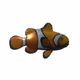 FishClownfish.png