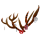 Autumn Antlers.png