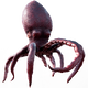 OctopusHat.png