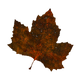 AutumnLeaves.png