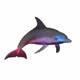 DolphinPet.png