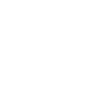 Flak Handgun icon