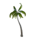 Palm.png
