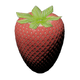 Strawberry1.png