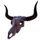 CowSkull.png
