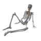 Skeleton Leaning.png