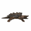 FishSnappingTurtle.png