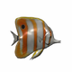 FishButterflyFish.png